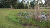 Enlarge photo 45
