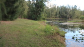 Enlarge photo 46