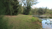 Enlarge photo 47