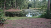 Enlarge photo 49