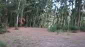 Enlarge photo 50