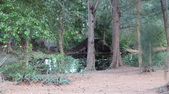 Enlarge photo 51