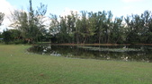 Enlarge photo 52