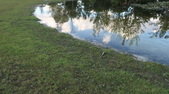 Enlarge photo 55
