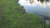Enlarge photo 59