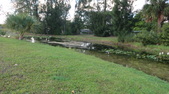 Enlarge photo 60
