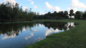 Enlarge photo 61