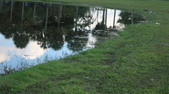 Enlarge photo 62