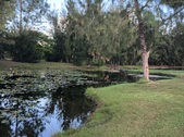 Enlarge photo 72