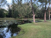 Enlarge photo 73