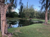 Enlarge photo 74