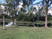 Enlarge photo 75