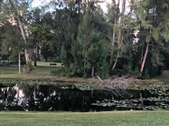 Enlarge photo 78