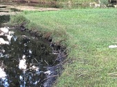 Enlarge photo 64
