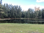Enlarge photo 65
