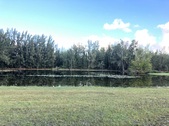 Enlarge photo 66