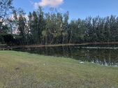 Enlarge photo 67