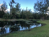 Enlarge photo 71