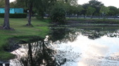 Enlarge photo 79