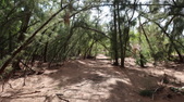 Enlarge photo 19
