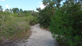 Enlarge photo 38