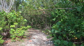 Enlarge photo 40
