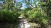 Enlarge photo 41