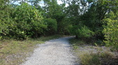Enlarge photo 42