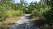 Enlarge photo 43