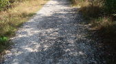 Enlarge photo 44