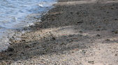 Enlarge photo 47