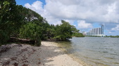 Enlarge photo 49