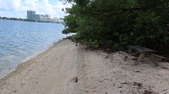 Enlarge photo 51