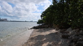 Enlarge photo 54