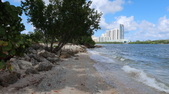 Enlarge photo 55