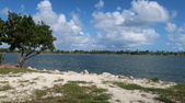 Enlarge photo 58