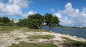 Enlarge photo 59