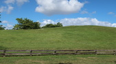 Enlarge photo 98