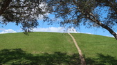 Enlarge photo 100