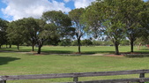 Enlarge photo 103