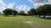 Enlarge photo 40