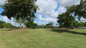 Enlarge photo 53