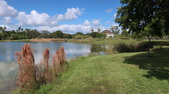 Enlarge photo 57