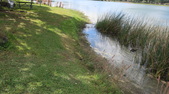 Enlarge photo 62