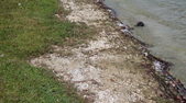 Enlarge photo 74