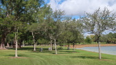 Enlarge photo 77