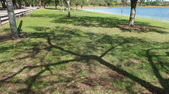 Enlarge photo 81