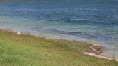 Enlarge photo 84