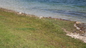 Enlarge photo 85