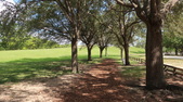 Enlarge photo 87